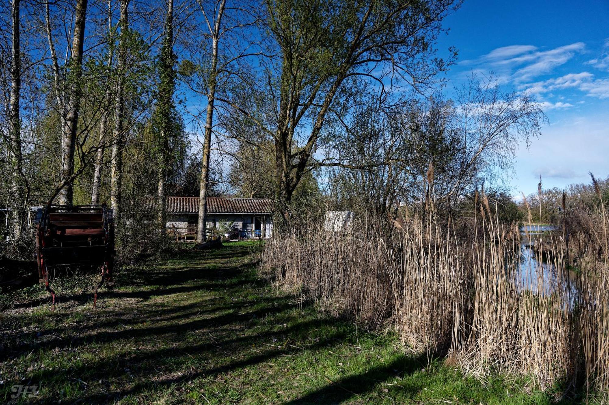 Espace Nature Studio Independant Proche Du Parc Des Oiseaux Sainte-Olive Екстер'єр фото